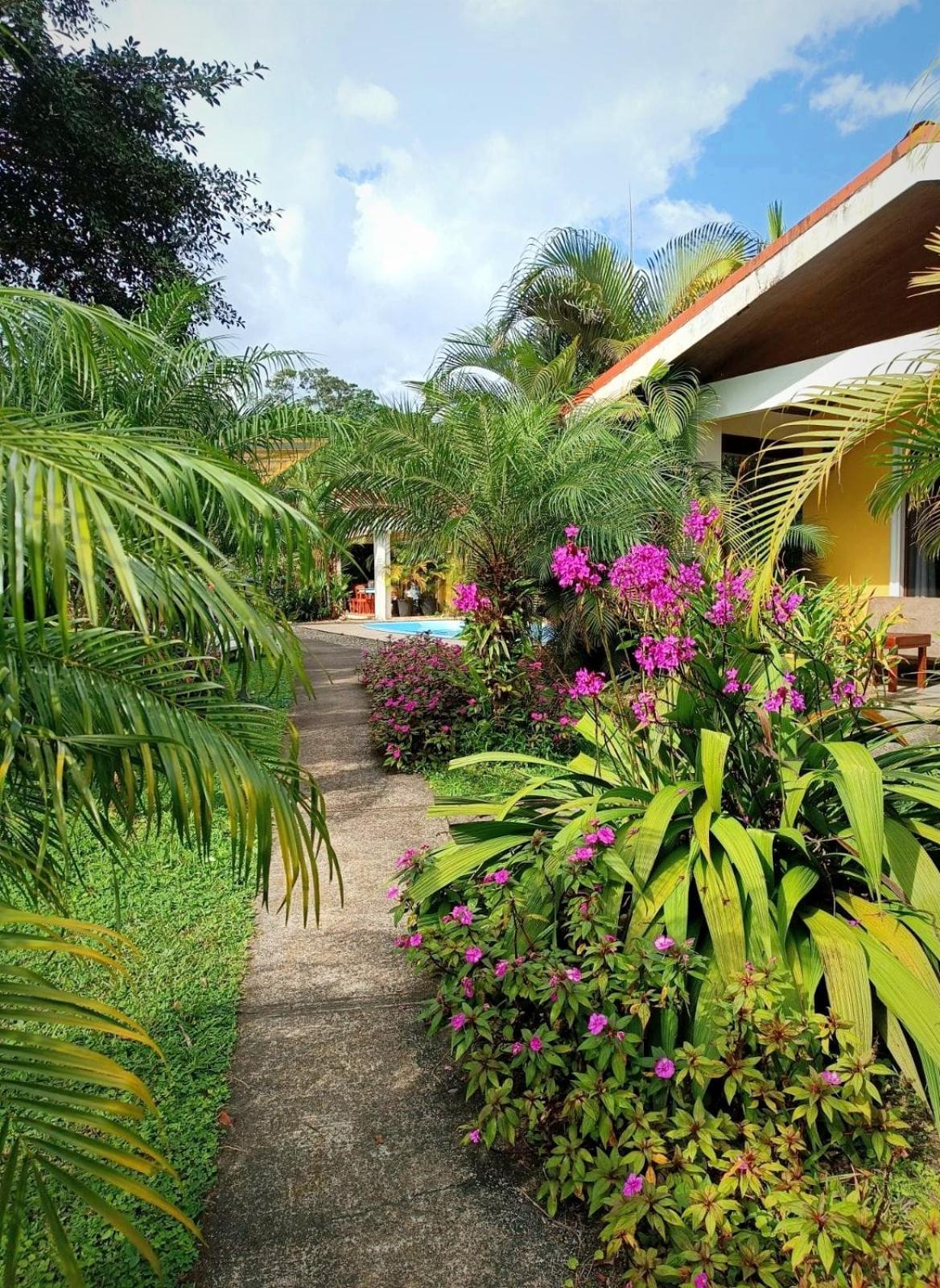 Arenal Villas Tranquilas, Free-Standing Equipped Houses Nuevo Arenal Exterior photo